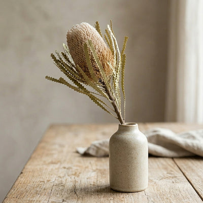 A natural beige dried banksia flower stem in a ceramic vase on a rustic wooden dining table in moody morning light.