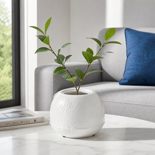 White ceramic planter bowl with green plant placed on marble table for modern living room decor styling.