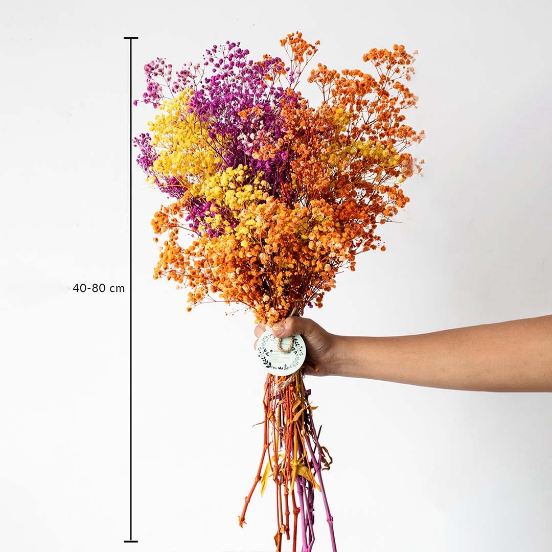 Preserved dried babys breath bouquet with height range of 40 to 80 cm suitable for tall vases corners and floor decor.