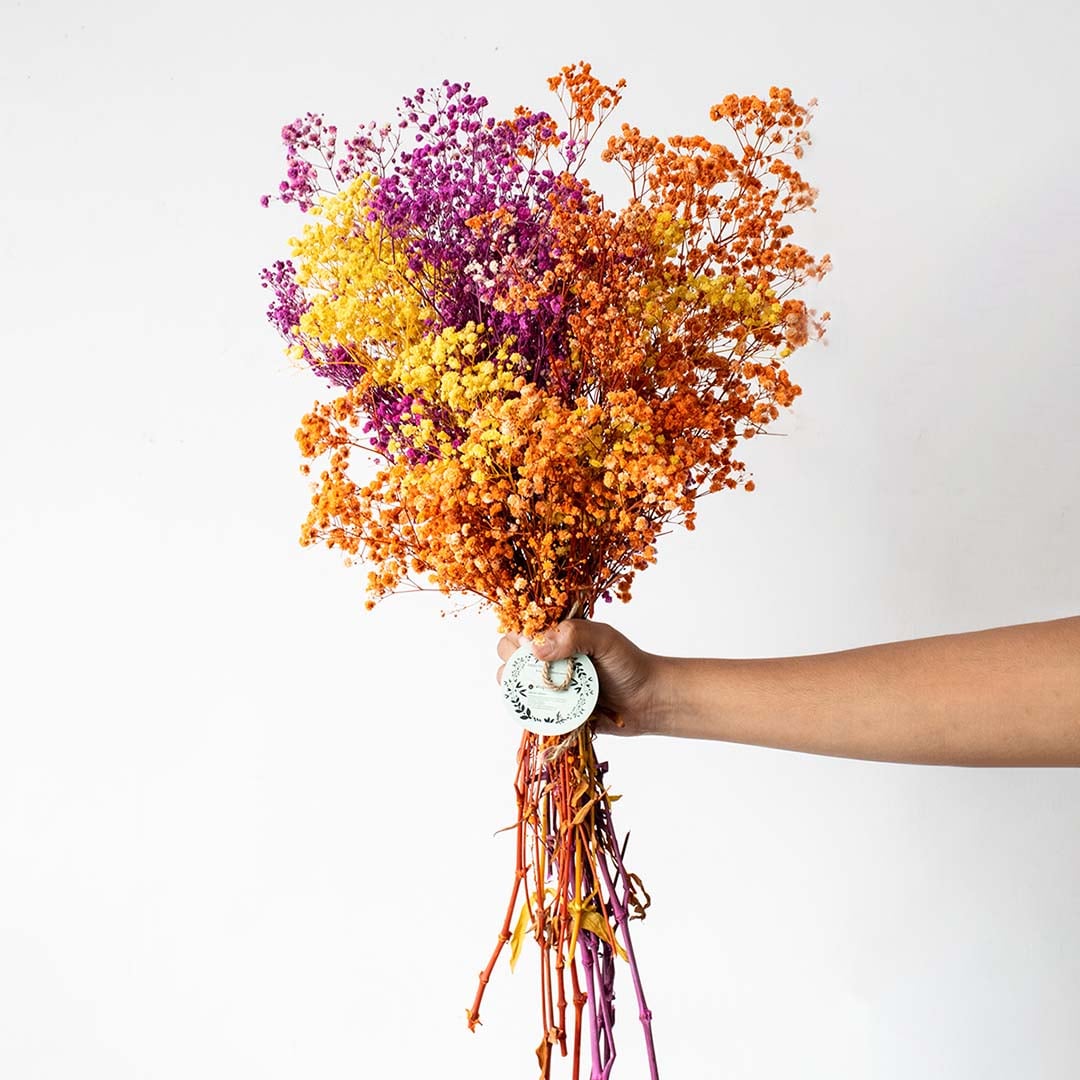 Scintillating babysbreath valentine mix dried flower bouquet on white background featuring soft hues romantic styling and gifting decor appeal.