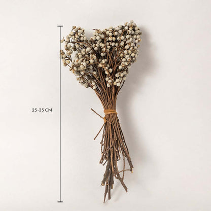 A rustic natural beige dried button flower bouquet showing a forty to forty five centimeter height chart on white backdrop.