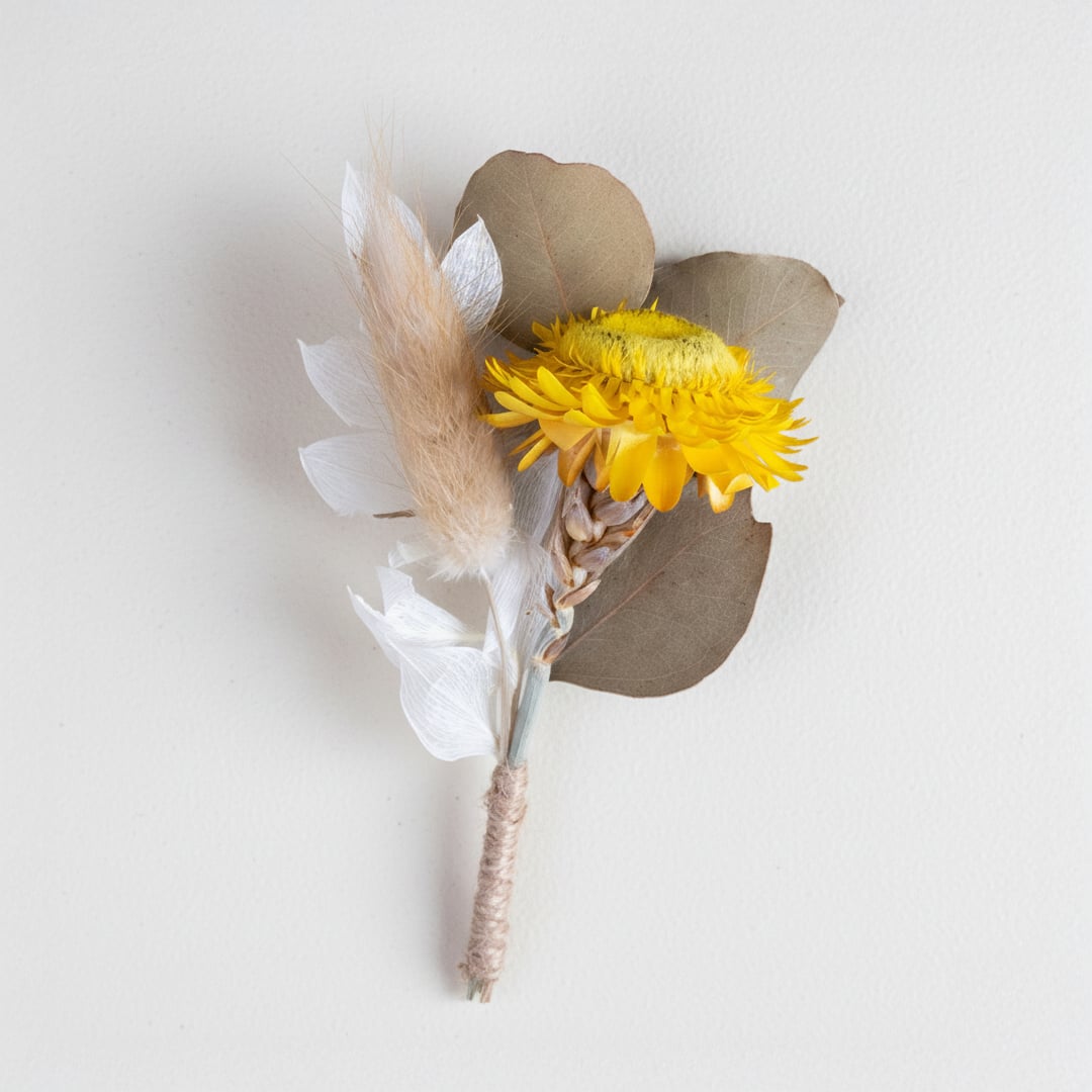 Dried floral stem bouquet with yellow bloom soft pampas white petals and eucalyptus leaves on white background highlighting natural texture handcrafted decor elegance.