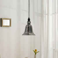 A modern pendant light with a bell-shaped smoked glass shade hanging from a black cord in a bright room with sheer white curtains.