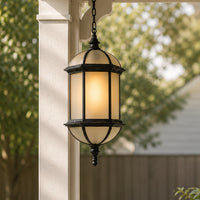 Valencia Black Frosted Glass Hanging Light