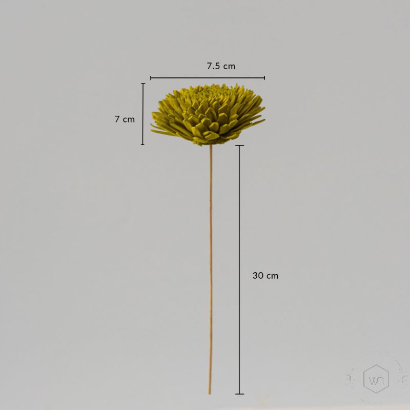 Sola Flower Set Of 5 Lemon Green Dimensions