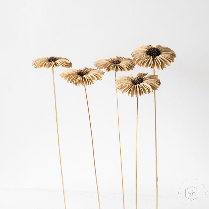 Sola Gerbera Sun Flower Set Of 5 Grouped