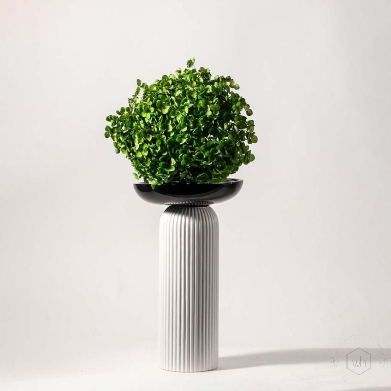 Preserved Hydrangea - Dark Green Lifestyle