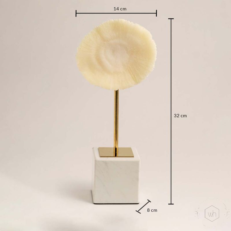 Home Accent Coral Marble & Metal Dimensions