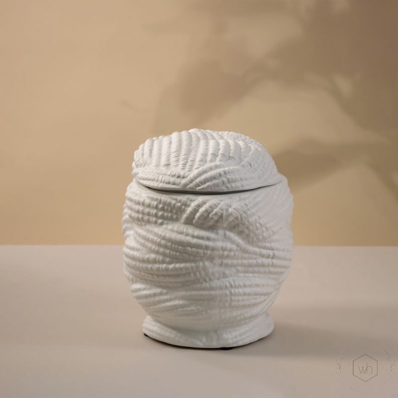 Incomum White Ceramic Decorative Item White Background