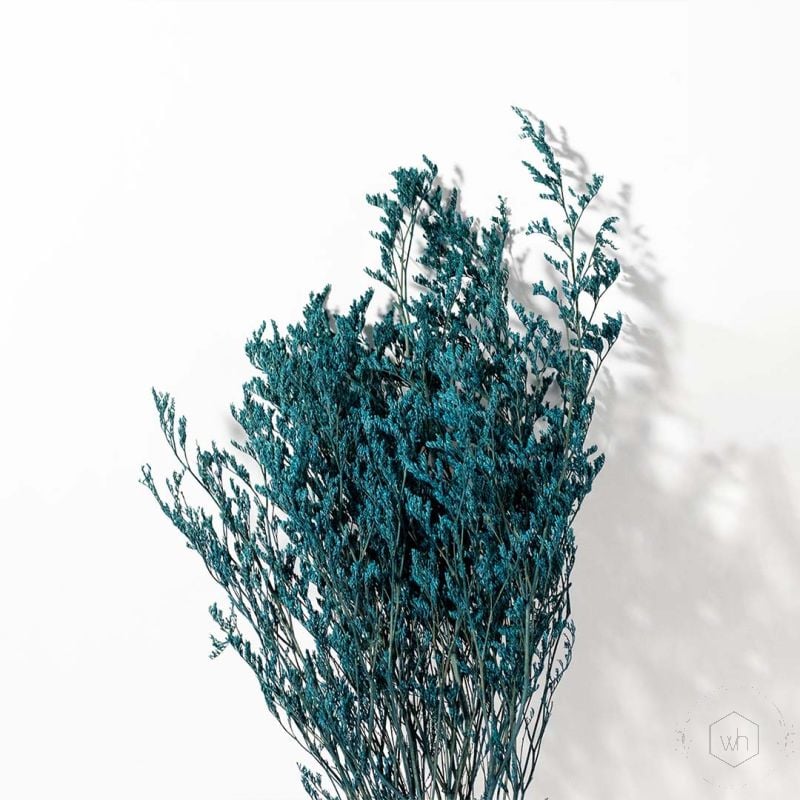 Preserved Limonium Grass - Blue Closeup