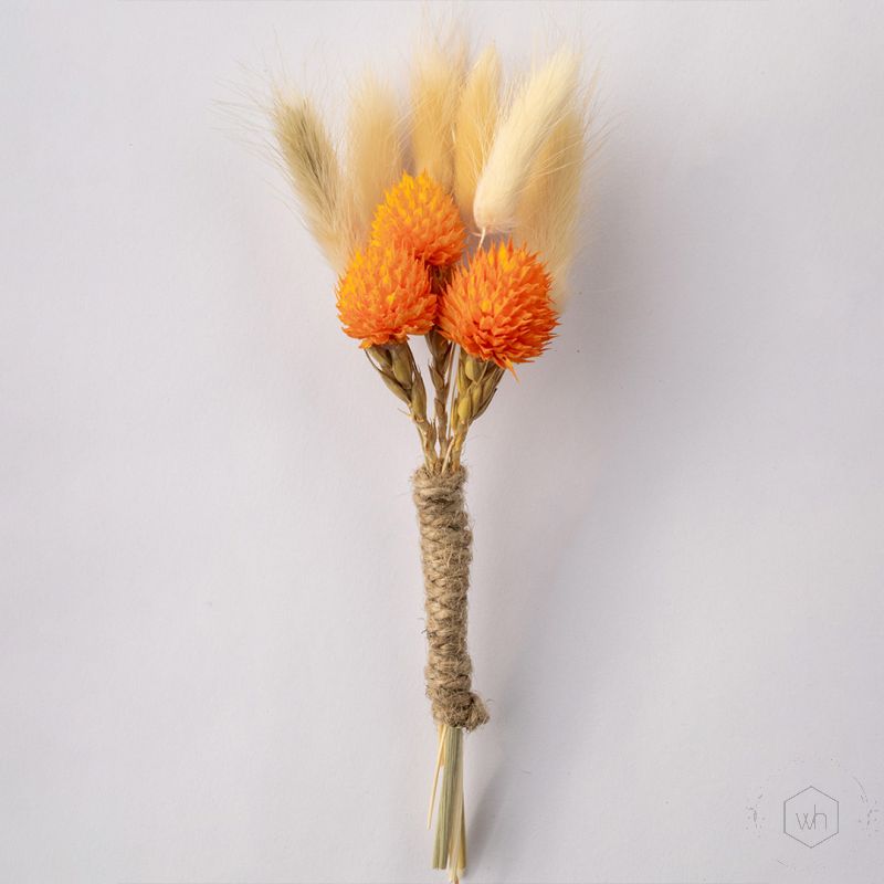 Roseus Boutonniere White Background