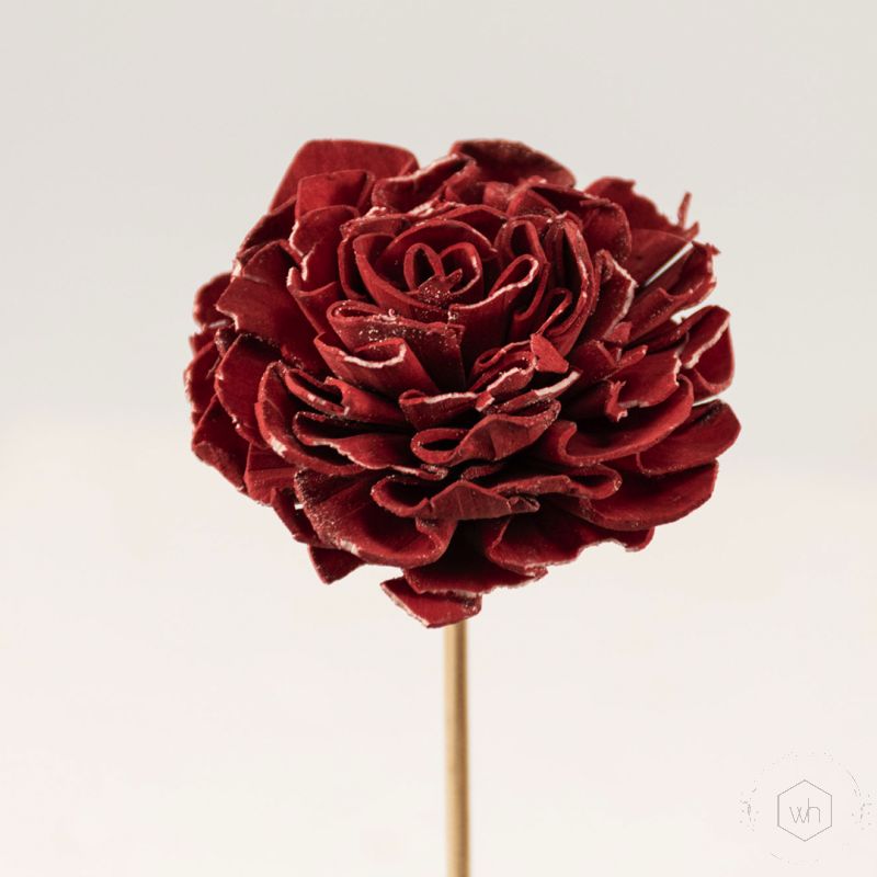 Sola Flower Set Of 5 - Red Closeup