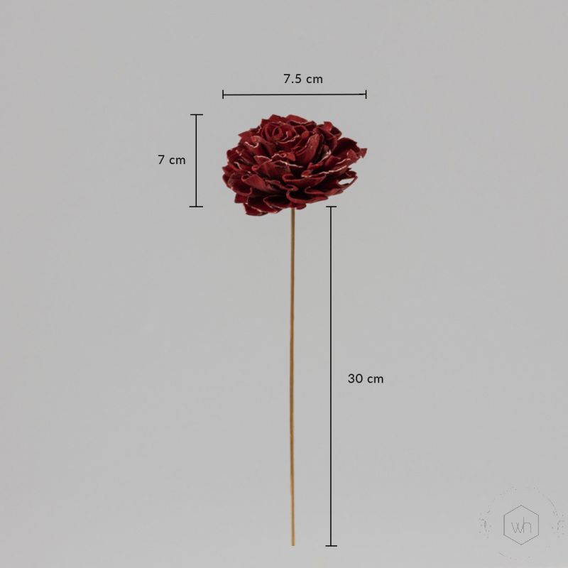 Sola Flower Set Of 5 - Red Dimensions