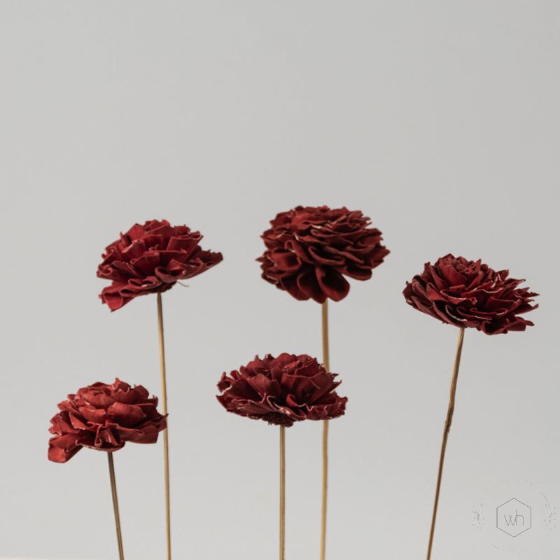 Sola Flower Set Of 5 - Red Grouped