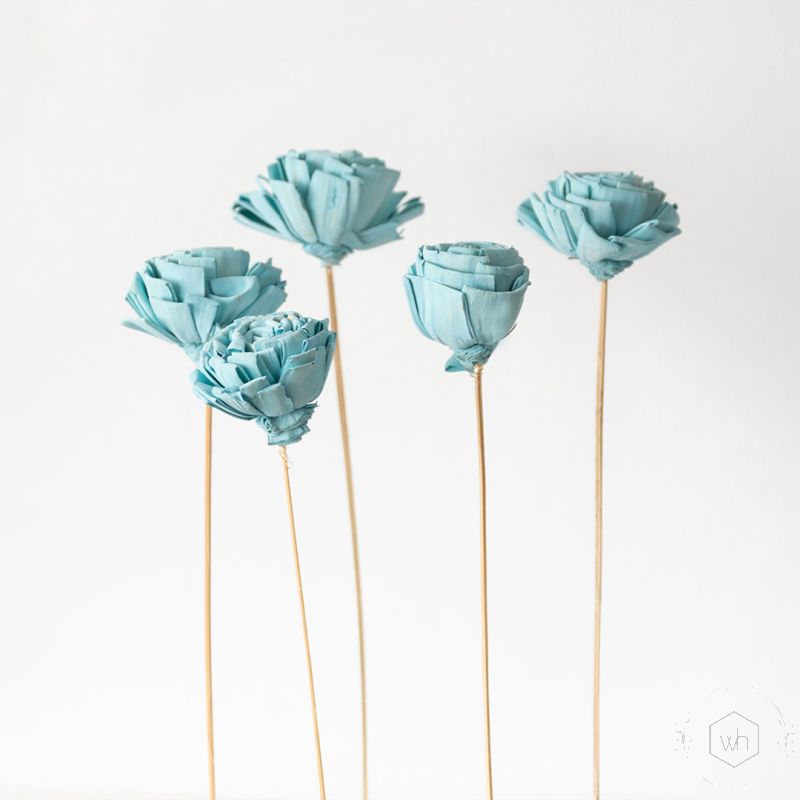 Sola Flower Set Of 5 - Sky Blue White Background