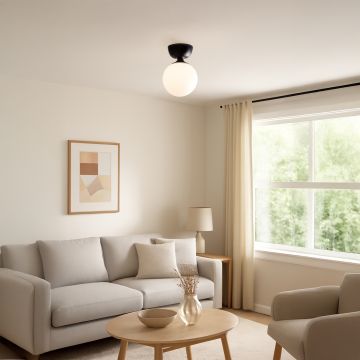 Modern ceiling light with black base and frosted glass globe styled in living room for elegant home lighting.