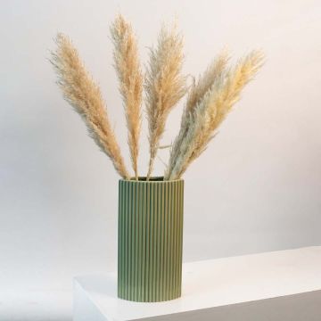 Medium Pampas Grass Beige Lifestyle