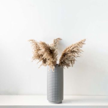 Pampas Grass Nattural Brown Lifestyle