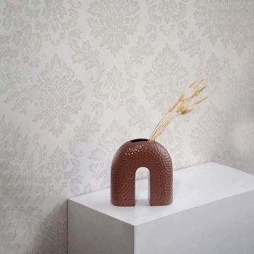 Bunny Tail Dried Pampas Grass White White Background