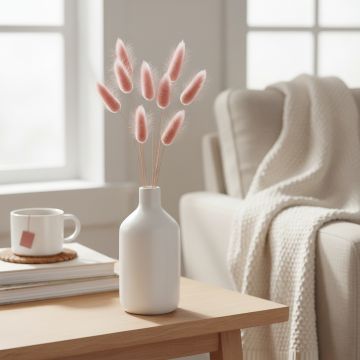 bunny tail dried pampas grass copper pink main lifestyle