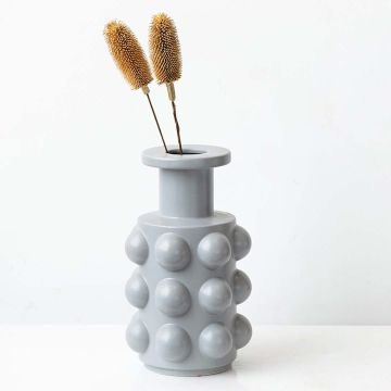 Dried Dipsacus Thistle Brown Lifestyle