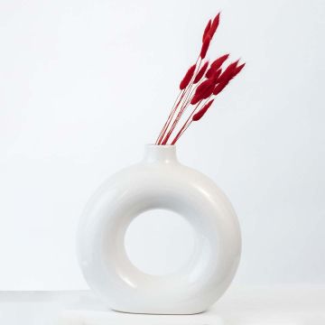 Red dried bunny tail grass stems in modern ceramic donut vase on white background elegant decorative accent.