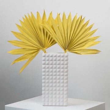 Yellow dried palm leaf stem displayed on white background for boho home decor styling.