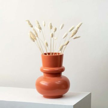 Beige lagurus dried bunny tail grass styled in terracotta vase lifestyle Indian home decor with ethnic wall art.