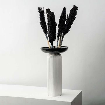 Black preserved millet stems styled in tall white ribbed ceramic vase modern home decor on white backdrop.