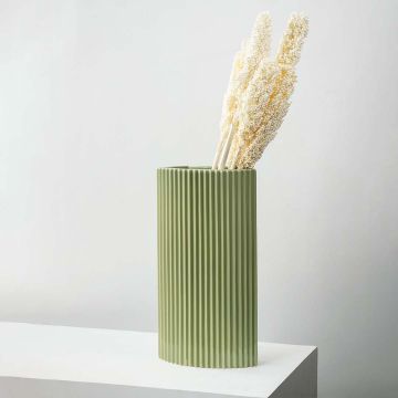 White preserved millet stems displayed in tall green ribbed ceramic vase modern home decor on white backdrop.