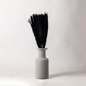 Small Pampas Grass In Black White Background 2