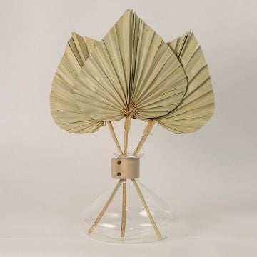 Palm Spear Leaf Natural Lifestyle