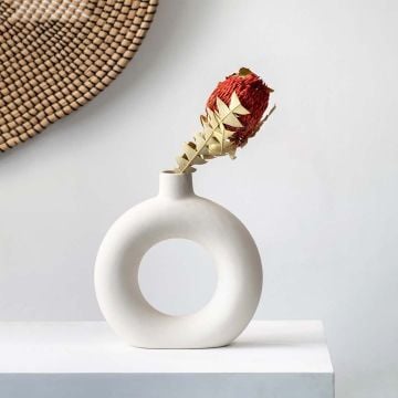 Round Ball Banksia Flower Red Lifestyle