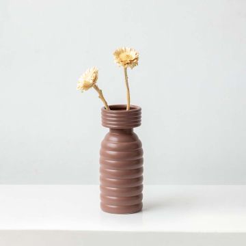 Dried Natural African Sunflowers White Lifestyle