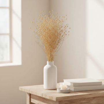 dried natural lino flower main lifestyle