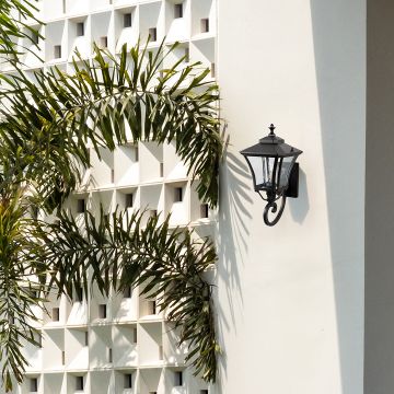 Outdoor wall light mounted on a modern white exterior wall styled with greenery for an elegant and welcoming entrance.