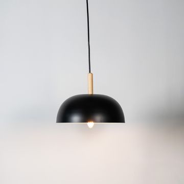 Color Pop Dome Pendant Lamp Black Light On White Background