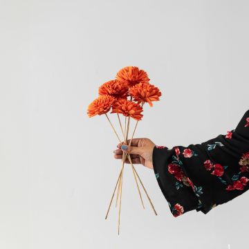 Sola Zinnia Wild Tangerine Orange Flower Set Of 5 Hand Image