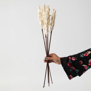 Sola Wood Casia Flower White Set Of 5 Hand Image