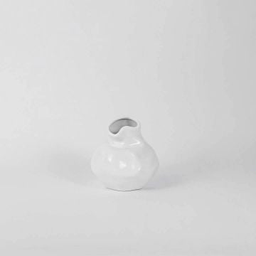 Mari Vase - Desk Planter White Background