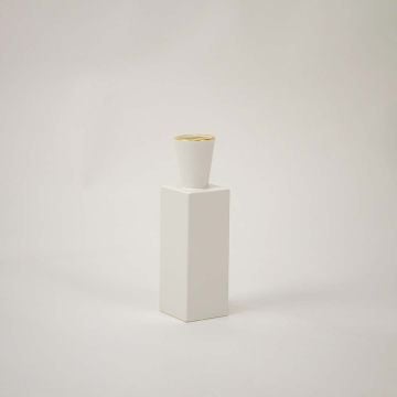 David Vase White White Background