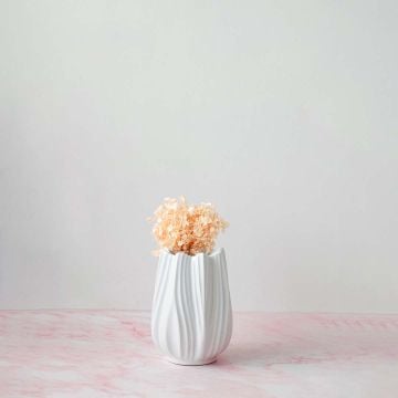 Tulip White Ceramic Flower Vase Small Lifestyle