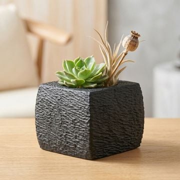 acroma small polyresin vase black main lifestyle