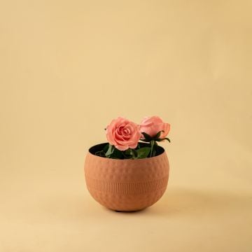 Zarb Vase Peach Large Lifestyle