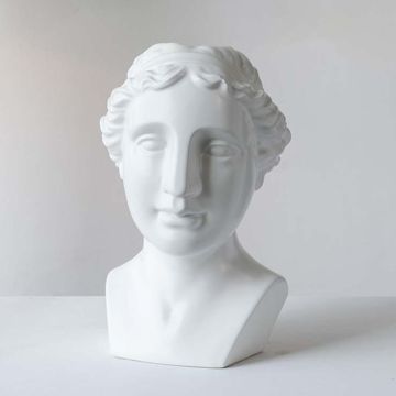 Centwin - Face Decor White background