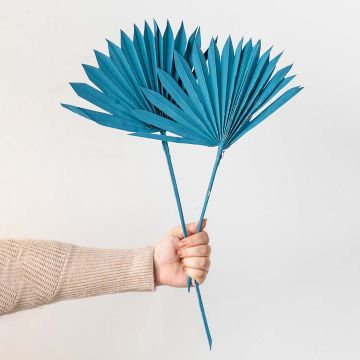 PalmSpear Large - Royal Blue Set of 2Hand Image