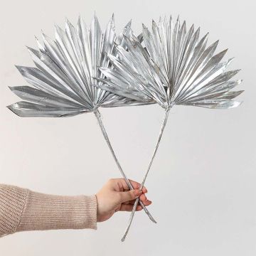 Palm Spear Silver Story Set of 2 - LargeHand Image