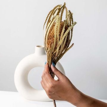 Round Ball Banksia Flower - WhiteHand Image