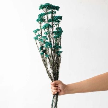 Preserved Rice Flower - BlueHand Image