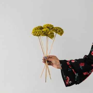 Sola Flower Set Of 5 - Lemon GreenHand Image